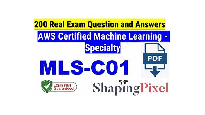 New MLS-C01 Exam Sample