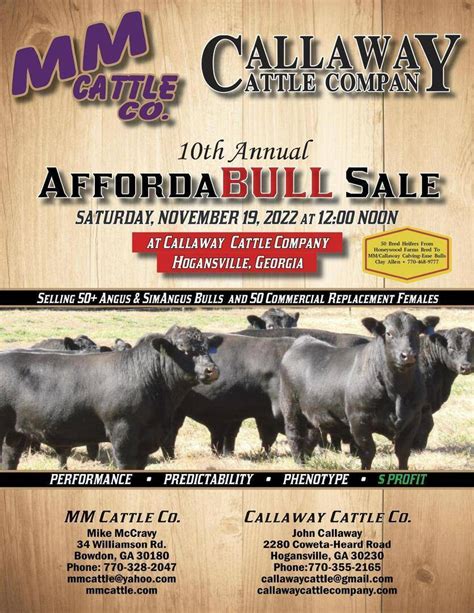 MM/Callaway Cattle Company - 2024 Bull Sale by …