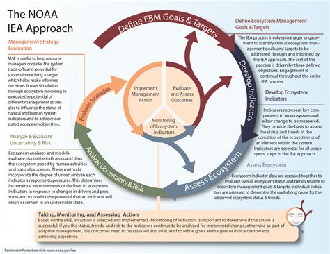 diagram for ecosystem