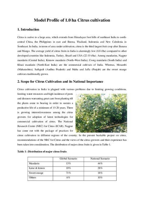 Model Profile of 1.0 ha Citrus cultivation - raincitystudios.com