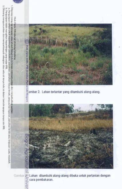 MODEL REKLAMASI LAHAN ALANG-ALANG DALAM … - raincitystudios.com