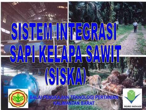 Model SISKA: Integrasi Sapi dan Sawit | PDF - Scribd - muktibox.com