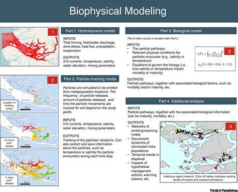 Modeling Pathogen Dispersal in Marine Fish and Shellfish - raincitystudios.com