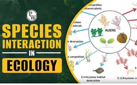 Modeling Species Interactions in Marine Ecology - raincitystudios.com