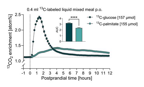Modeling the dynamics of stable isotope tissue-diet enrichment - wintechmobiles.com