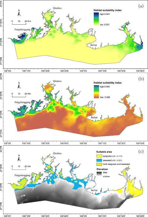 Modeling the potential distribution of seagrass beds in the Joal ... - muktibox.com