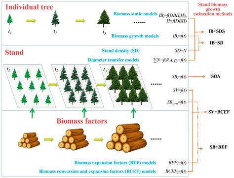 Modelling tree biomass using direct and additive methods with point ... - raincitystudios.com