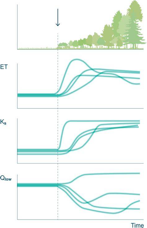 Modelling tributary reforestation effects on downstream main channel ... - raincitystudios.com