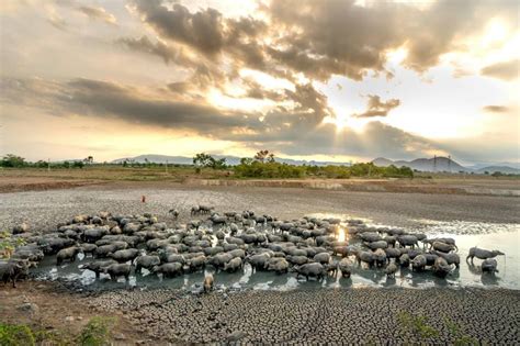 Moderate warming still linked to severe climate extremes - raincitystudios.com