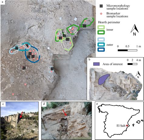 Modern analysis of ancient hearths reveals Neanderthal settlement ... - wintechmobiles.com
