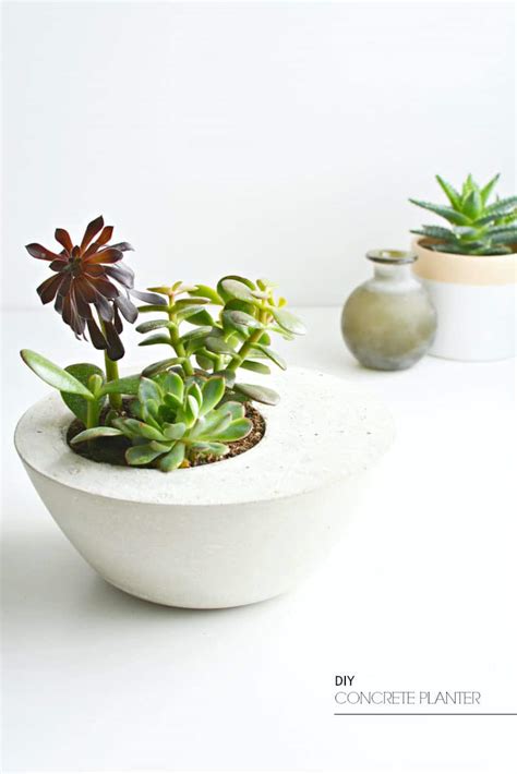 Modern DIY Concrete Planter | Step By Step Easy Tutorial - muktibox.com