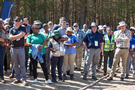 Modern Silviculture Symposium - Silviculture 4.0 - raincitystudios.com
