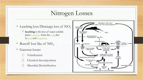 Modest Gaseous Nitrogen Losses Point to Conservative Nitrogen … - raincitystudios.com