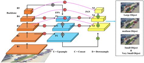 Modified YOLOv8 for automated detection and identification towards ... - coolestguyplanet.net