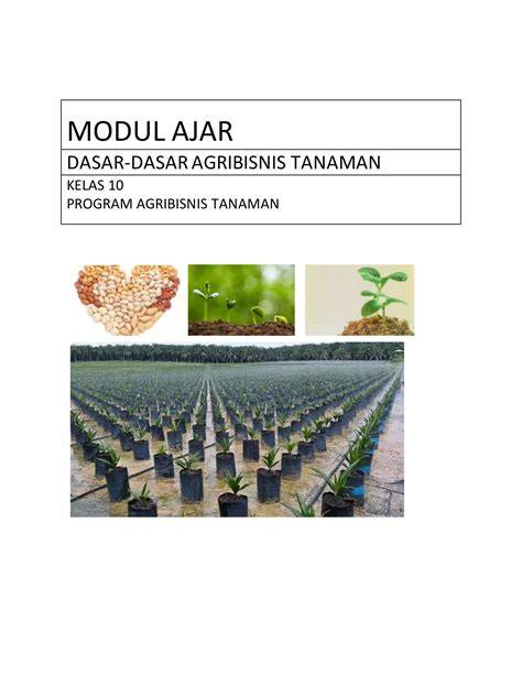 MODUL DASAR AGRIBISNIS TANAMAN SAYURAN - Pertanian - raincitystudios.com