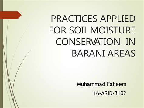 Moisture Control in Soil: Principles and Practices - raincitystudios.com