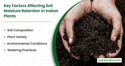 Moisture Retention in Soil and how Additives can Help - raincitystudios.com