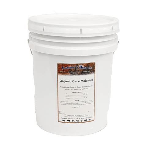 Molasses supplement cattle - FutureBeef - raincitystudios.com