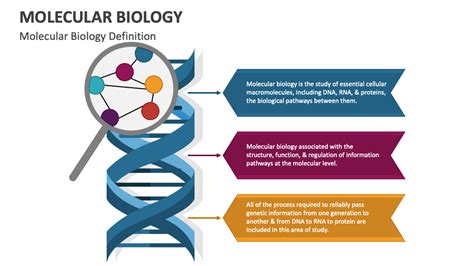 Molecular Biology and Bioinfor - Aalborg Univers | Educatly - wintechmobiles.com