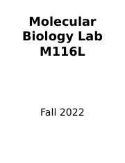 MOLECULAR BIOLOGY LAB MANUAL 2022 - muktibox.com