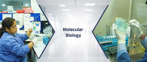 Molecular Biology - Not Only for Bioinformaticians - wintechmobiles.com