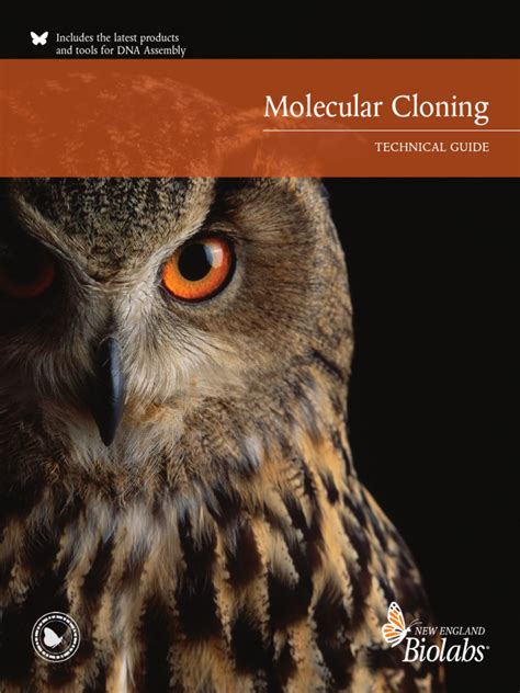 Molecular Cloning Technical Guide - NEB - muktibox.com