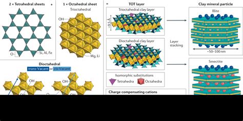 Molecular-level understanding of metal ion retention in clay-rich ... - muktibox.com