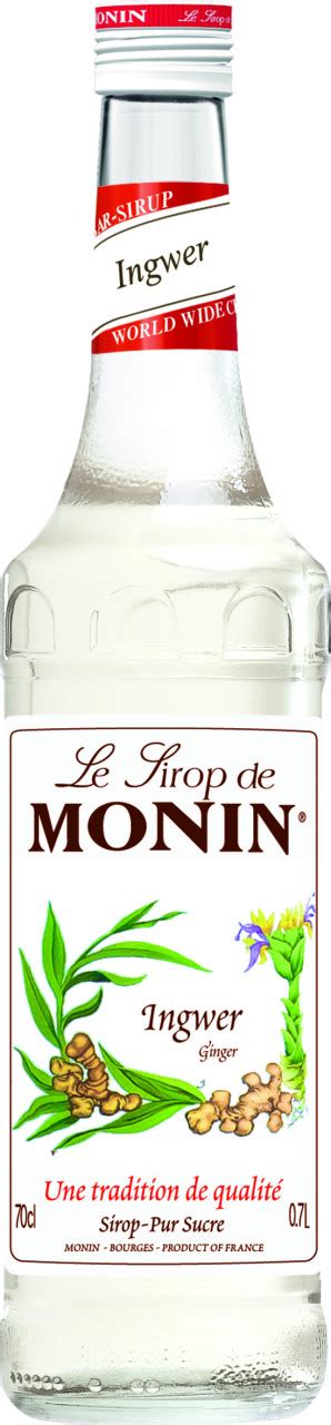 MONIN Ingwersirup, 0.7l : Amazon.de: Lebensmittel & Getränke