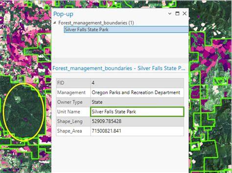 Monitor forest change over time | Documentation - ArcGIS - raincitystudios.com
