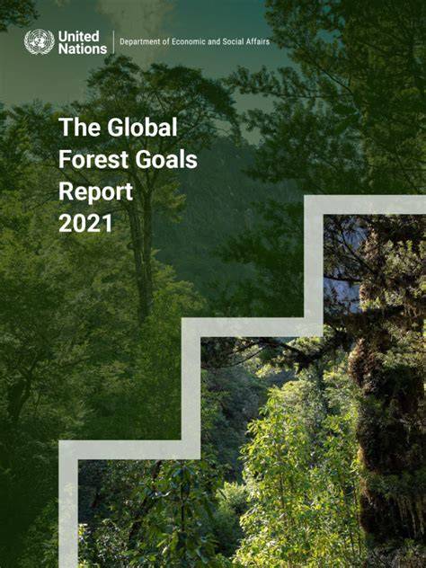 monitoring, assesment and reporting on global forest goals: review of ... - raincitystudios.com