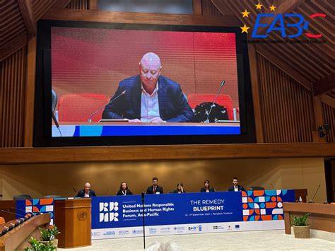 Monitoring, Assessment and Reporting | United Nations Forum on … - raincitystudios.com