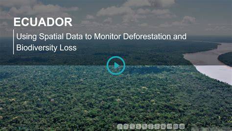 Monitoring Biodiversity in Ecuador – UN Biodiversity Lab - raincitystudios.com