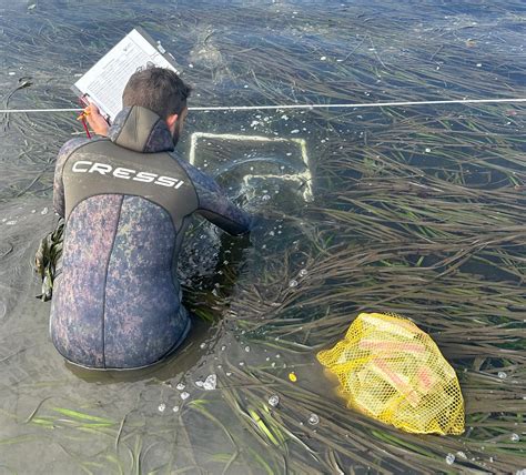 Monitoring Estuaries: Estuaries Tutorial - NOAA's … - raincitystudios.com