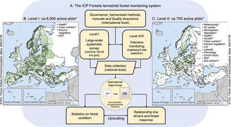 Monitoring framework for resilient European forests - raincitystudios.com