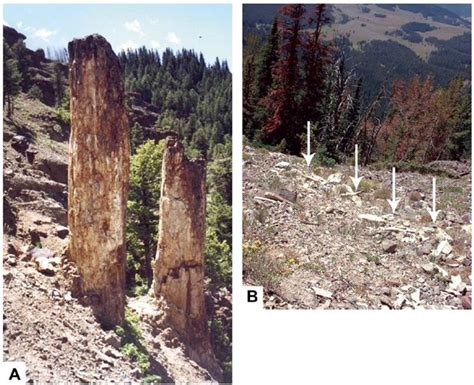 Monitoring Paleontological Resources - U.S. National … - wintechmobiles.com