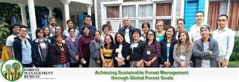 Monitoring progress towards sustainable forest management - raincitystudios.com