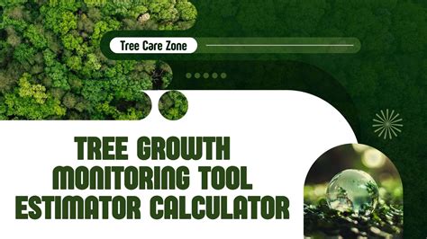 Monitoring Tree Growth and Health in Forestry and Logging - raincitystudios.com