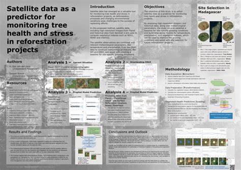 Monitoring Tree Growth in Reforestation Projects - Live to Plant - raincitystudios.com