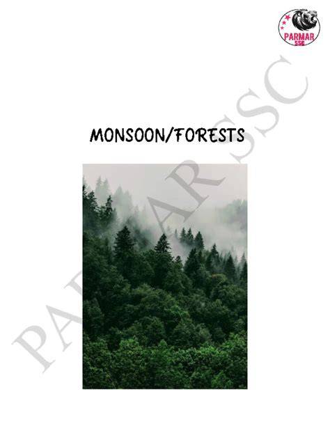 Monsoon Forests in India – Indian Encyclopedia - raincitystudios.com
