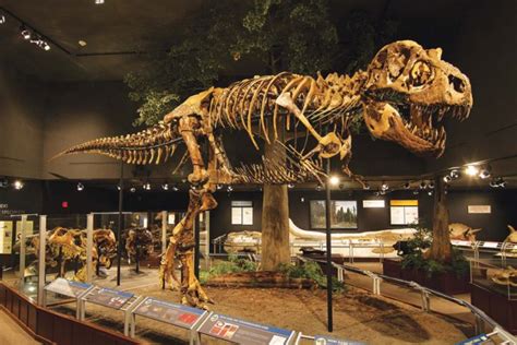 Montana Dinosaur Trail | Visit Montana - wintechmobiles.com