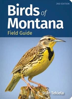Montana Field Guide - raincitystudios.com