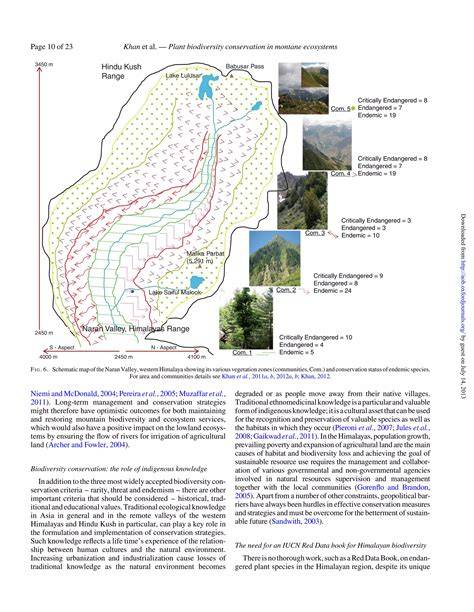 Montane ecosystems explained - raincitystudios.com