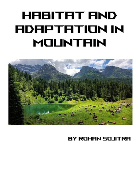 Montane Ecosystems - Assignment Point - raincitystudios.com