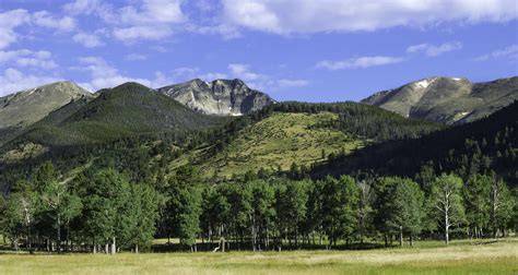 Montane grasslands and shrublands - Academic Kids - raincitystudios.com