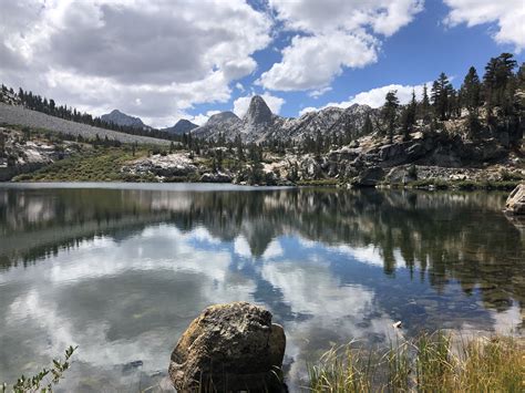 Montane Plants and Habitats - Colorado Native Plant Society - raincitystudios.com