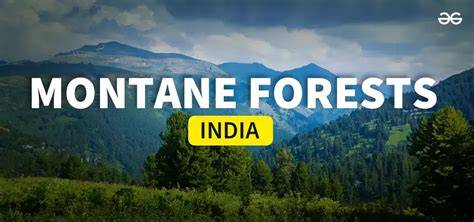 Montane Sub-Tropical Forests of India - CDH IAS - raincitystudios.com