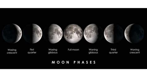 Moon today | Moonphase.info - muktibox.com