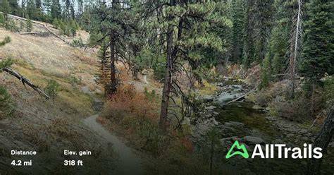 Moondipper Hot Spring and Pine Burl Hot Spring Hike - raincitystudios.com
