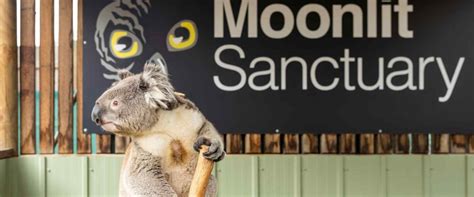 Moonlit Sanctuary - The best place to see Aussie animals! - muktibox.com