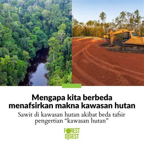 Moratorium dan Tatakelola Hutan dan Lahan - raincitystudios.com
